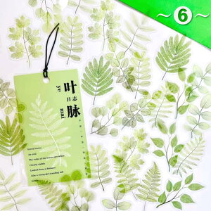 o   t 傫 t NA PETf 30 S8^CvWNW[i R[Wf fRf 蒠fR fR[V  V[ H G h