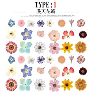 o NAV[ R[W f V[ ԕ Ԃт  t[ t hCt[ [   gt NM { ڂ ٖD F CXg V[ 40 t[N