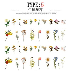 o NAV[ R[W f V[ ԕ Ԃт  t[ t hCt[ [   gt NM { ڂ ٖD F CXg V[ 40 t[N