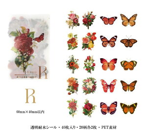 o NAV[ t[NV[   KN [Y ϐ COXebJ[ R[W f Zbg 4020 J[ WNW[i fR[VV[ 蒠 V[ PETf A