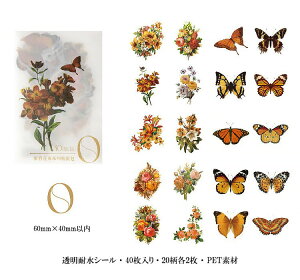 o NAV[ t[NV[   KN [Y ϐ COXebJ[ R[W f Zbg 4020 J[ WNW[i fR[VV[ 蒠 V[ PETf A