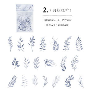 o V[  t[ t[NV[ 40 R[W f COXebJ[ COV[ NAV[ PET WNW[i fR[V f 蒠fR fRV[  