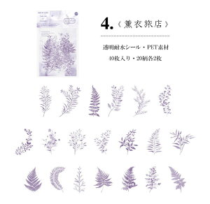 o V[  t[ t[NV[ 40 R[W f COXebJ[ COV[ NAV[ PET WNW[i fR[V f 蒠fR fRV[  