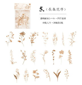 o V[  t[ t[NV[ 40 R[W f COXebJ[ COV[ NAV[ PET WNW[i fR[V f 蒠fR fRV[  