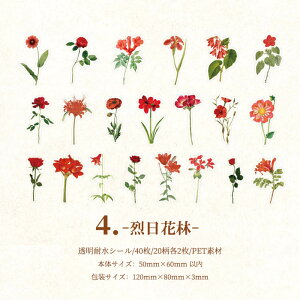 o  t[ V[ COXebJ[ COV[ t[NV[ 40 NA PETf WNW[i 蒠fR R[W f fR[V fRV[ ϐ A t V
