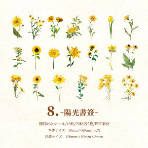 o  t[ V[ COXebJ[ COV[ t[NV[ 40 NA PETf WNW[i 蒠fR R[W f fR[V fRV[ ϐ A t V