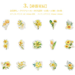 o  COXebJ[ NAV[ t[NV[  NAV[ R[W f Zbg 45 J[ ؂₩ WNW[i fR[VV[ 蒠 V[ PETf