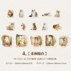 o R[WV[ }Xef 45 R[WfރZbg }XeV[ lV[ l ̎q q    hA K[f L ˂   ԕ KN XNbvubLO f