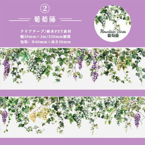 o NAe[v ̉  } K ~ Ε VR Xg[ Ζ ^C V[ ݂艺  KN [Y ϗtA 鐫A t   CXg R[Wf L50mm 