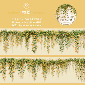 o NAe[v ̉  } K ~ Ε VR Xg[ Ζ ^C V[ ݂艺  KN [Y ϗtA 鐫A t   CXg R[Wf L50mm 