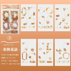 o ^ ϐ PET V[V[g 傫 KN  t[ CXg V[ ԕ g t[ t[[N R[Wf [Y `[bv S t CXgXebJ[ _