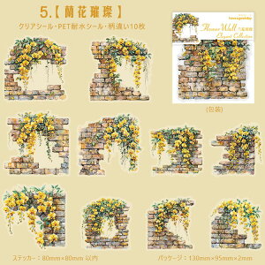 o NAV[ Ε Ί_ 炭  z KN  ԕ [Y K[fjO ϗtA 鐫A   CXg V[ R[Wf  ϐV[ PETV[ 킢