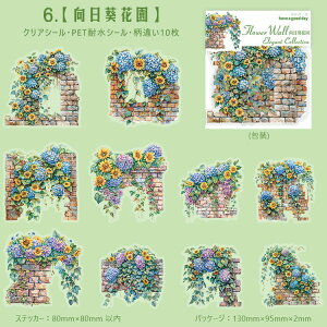 o NAV[ Ε Ί_ 炭  z KN  ԕ [Y K[fjO ϗtA 鐫A   CXg V[ R[Wf  ϐV[ PETV[ 킢