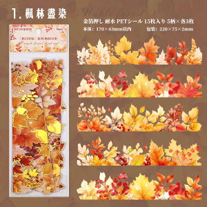 o  傫 c ϐ PETV[ t gt A CXgXebJ[ R[Wf   wiV[ R[Wf  [WTCY AeB[N Be