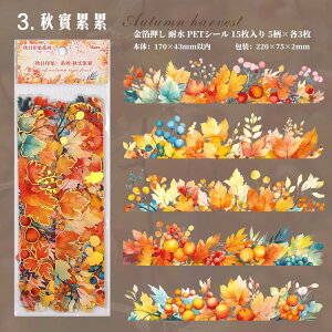 o  傫 c ϐ PETV[ t gt A CXgXebJ[ R[Wf   wiV[ R[Wf  [WTCY AeB[N Be