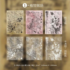 o CO Be[Wy[p[  _ fގ 30 2ގ g fUCy[p[ AeB[N 蒠fR R[Wf WNW[i fރy[p[ wi fR