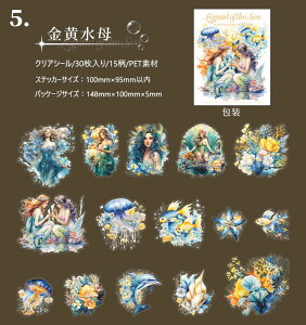 o NAV[ 傫 lP C d  Cn Cm ~ 炰 NQ _I ^ p[  CXg V[ R[Wf V[ 30 PET  ϐ O  l b _