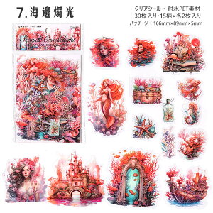 o NAV[ 傫 lP C d  Cn Cm ~ 炰 NQ _I ^ p[  CXg V[ R[Wf V[ 30 PET  ϐ O  l b _