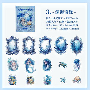 o NAV[  LVF 킢  A ԕ l   X  t[ z ̎q q lP Cm 傫 CXgV[ 30 PET ϐV[ R[