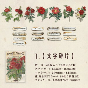 o NAV[ 傫 [WTCY KN [Y   z ԕ  p  `Pbg ؕ ^O _[W CXgV[ 40 ّf R[Wf  PETV[ 
