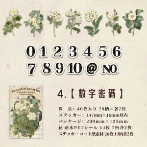 o NAV[ 傫 [WTCY KN [Y   z ԕ  p  `Pbg ؕ ^O _[W CXgV[ 40 ّf R[Wf  PETV[ 