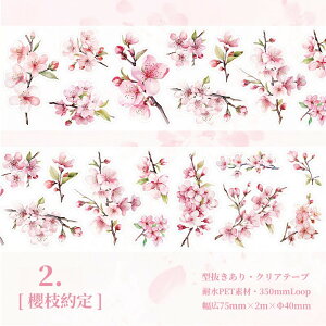 o ^ L75mm _CJbg  ϐ }XLOe[v   Ԃт ԕ t ͂ ̉ ̎} } ؎} } CXg V[ _CJbge[v R[Wf NAe