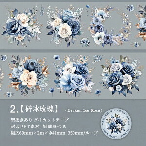 o ^ NAe[v L60mm KN [Y Ԃт ԕ CXg  ϐ }XLOe[v _CJbge[v Ch^Cv R[Wf hV[  PET V[ _C