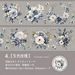 o ^ NAe[v L60mm KN [Y Ԃт ԕ CXg  ϐ }XLOe[v _CJbge[v Ch^Cv R[Wf hV[  PET V[ _C