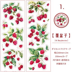 o ^ _CJbge[v L60mm t[c    S u[x[ CXgV[ ϐ }XLOe[v R[Wf ʕ NAe[v PET ϐ  V[ 