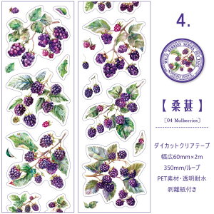 o ^ _CJbge[v L60mm t[c    S u[x[ CXgV[ ϐ }XLOe[v R[Wf ʕ NAe[v PET ϐ  V[ 