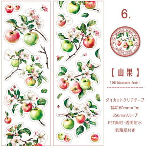 o ^ _CJbge[v L60mm t[c    S u[x[ CXgV[ ϐ }XLOe[v R[Wf ʕ NAe[v PET ϐ  V[ 