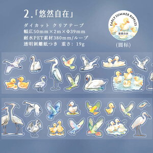 o ^ NAe[v r JG Aq  nX @ @    Mђ  ^   CXg V[ R[Wf 킢 }XLOe[v ϐ L50mm _CJ