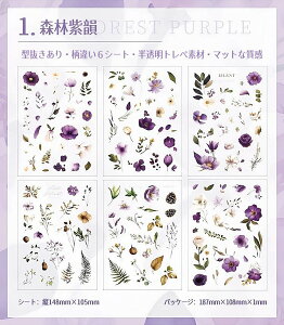 o  gy V[ 6V[g100ȏt ^ V[V[g 蒠V[ R[Wf z AWTC KN [Y  Ђ܂ t Jpj 鑐 ԕ Ԃ