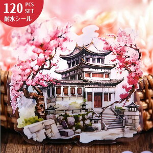  120 NAV[     ʗ̊ 傫 z       | a Õ ~ R gt }G   ̉ ԕ ~ ~̖ V[ ϐV[ R[W