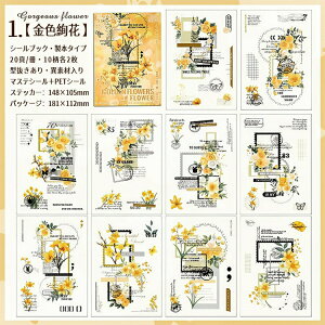  V[ubN ^ ّf {^Cv XebJ[ubN R[Wf  ԕ [Y KN  p [X t[ g lKtB wi V[ _CJbg t[