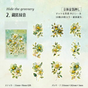 o NAV[   ʃ^b` }bgȎ ԂтV[ 20 R[Wf l  Ԃт ԕ PETV[ ϐV[ V[ V[ fR[V