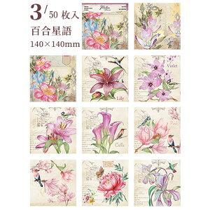 o fގubN ` 50 COfUCy[p[ R[Wf wi  fރy[p[ g Be[W y[p[ XNbvubN AeB[N    [Y K