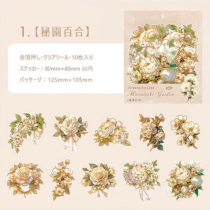 o  傫 ؂₩ Ԃт PET ϐ V[ R[Wf [Y KN z AWTC [WTCY NAV[ 蒠 V[ ԕ CXgV[ WNW[i 