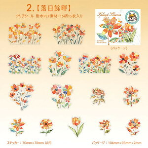 o ϐV[ ` }G } }G ԕ Ԕ zI  H Ri wi Ђ܂    CXg V[ R[Wf    z 傫 fR