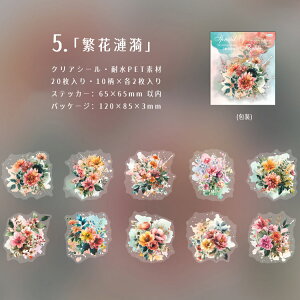 o NAV[ Ԃт ԕ ؂₩ 傫 [WTCY R[Wf [Y KN  O V[ ̊ 20 PETV[ ϐV[ V[ COXebJ[킢R