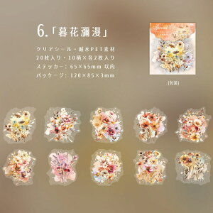 o NAV[ Ԃт ԕ ؂₩ 傫 [WTCY R[Wf [Y KN  O V[ ̊ 20 PETV[ ϐV[ V[ COXebJ[킢R