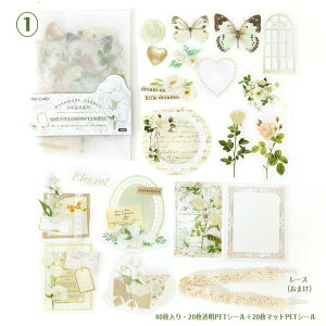 o NAV[ COXebJ[ PET 4020 NA20{}bg20 R[Wf Zbg fR[V V[ ϐV[  t[ { [X t[  n[g J