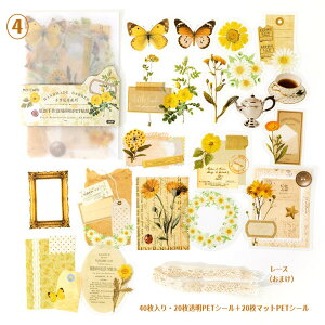 o NAV[ COXebJ[ PET 4020 NA20{}bg20 R[Wf Zbg fR[V V[ ϐV[  t[ { [X t[  n[g J