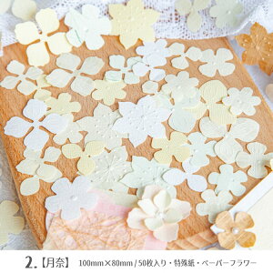 o y[p[t[ 50 Ԃт ꎆ 킢fUCy[p[ f f ԕ Ԃт 킢 e ꎆ R[Wf fUCy[p[  WNW