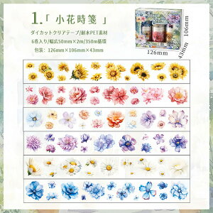 o ^ Ⴂ6[ L50mm lt N[o[ Ԃт ԕ  KN ԕ V[ ϐ }XLOe[v R[Wf Zbg _CJbge[v NAe[v 