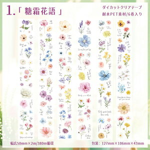 o ^ Ⴂ6_ _CJbge[v  Ԃт ԕ t[NV[ R[Wf Zbg ϐ }XLOe[v L50mm [V[ XebJ[ NAe[v PET