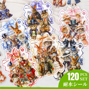 o ϐ t[NV[  LN^[XebJ[  e L ˂ ETM q  b CXgV[ }G }G R[Wf NAV[ R[W f fR[