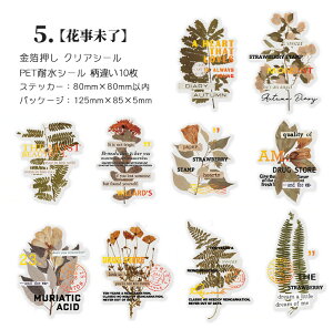 o  ԕ 傫 PET ϐ V[ R[Wf [Y   hCt[ t   p V[ NAV[ R[W f V[ ϐV[ A 