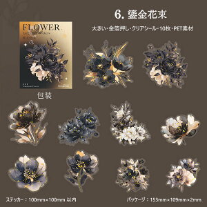 o  NAV[ ؂₩ 傫  Ԃт ԕ R[W f  KN [Y o ݂ {^ O CXgV[10 PETV[ ϐV[ ubN   