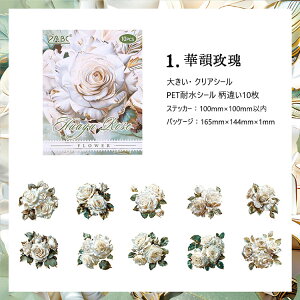 o NAV[ Ԃт ԕ ؂₩ 傫 [WTCY R[Wf [Y KN  O V[ ̊ 10 PETV[ ϐV[ V[ COXebJ[     R